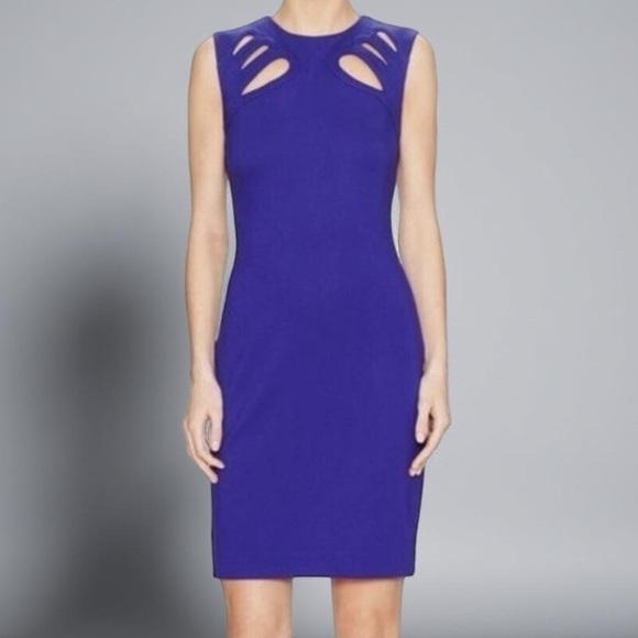 Diane Von Furstenberg Dresses & Skirts - Diane Von Furstenberg Purple Sheath Cutout Sidra Mini Dress Size 14